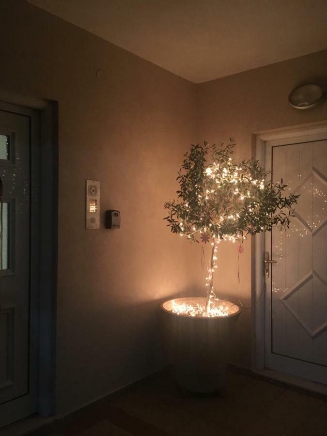 Cozy & Quiet City Apartment 特里卡拉 外观 照片