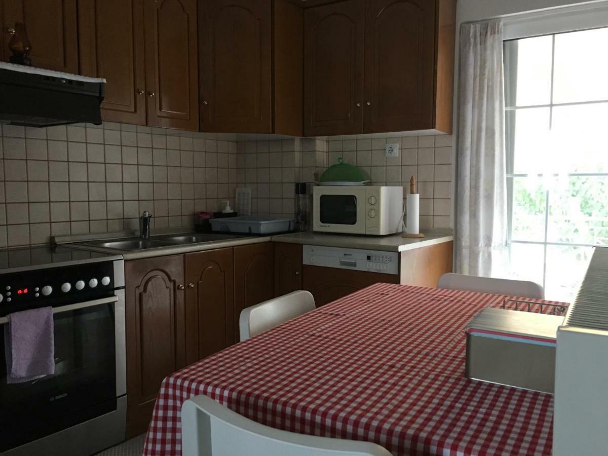 Cozy & Quiet City Apartment 特里卡拉 外观 照片
